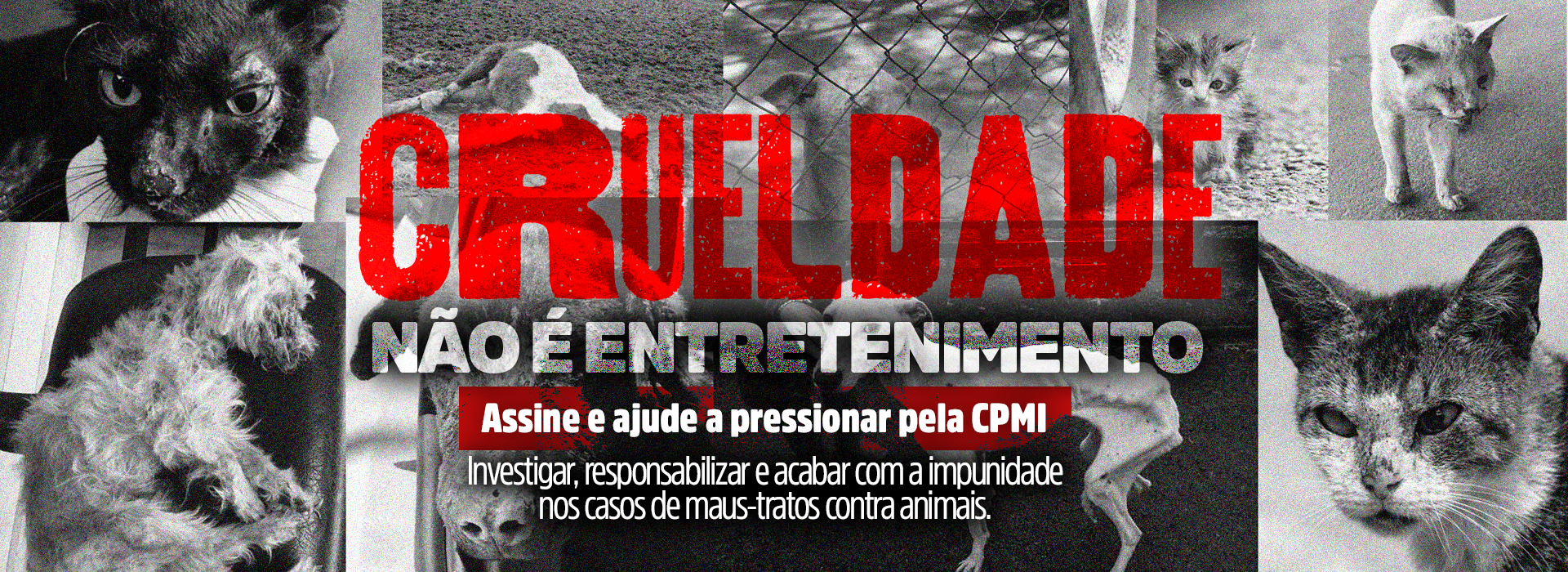 CRUELDADE ANIMAL NÃO É ENTRETENIMENTO